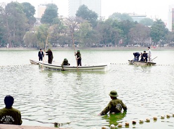 Workers trying to net the Sword Lake turtle (Photo: SGGP)