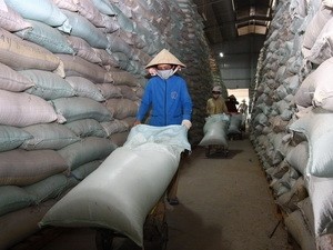 Buy rice for stockpile (Photo: VietnamPlus)