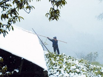 Heavy snowfall in Northern Vietnam on Wednesday (Photo: Thanh Nien)