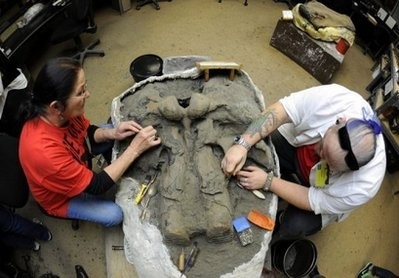 AFP file - Paleontologist Trevor Valle (R) and a colleague are seen here working on cleaning Columbian mammoth (Mammuthus columbi) Zed's skull in the Fishbowl lab of the Page Museum in Los Angeles, California.
