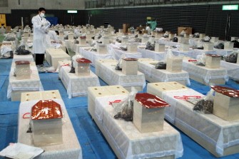 This file photo taken on March 18, 2011 shows dozens of coffins pictured on the floor of a hall in the town of Rifu in Miyagi prefecture to help with the March 11 tsunami and earthquake victims. AFP