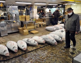 Frozen bluefin tuna are displayed at Tokyo's Tsukiji fish market on March 28, 2011. Famous for its noisy pre-dawn tuna auctions and air of organised chaos, the market has seen sellers standing idle as demand for seafood and other food products slides amid global worries about Japanese produce after a nuclear scare. AFP