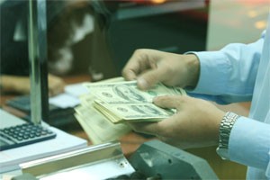 A cash teller at the Asia Commerical Bank is counting a pile of dollars. Financial experts recommend should permit lenders to offer an extra commission to individuals selling dollars to banks (Photo:Minh Tri)