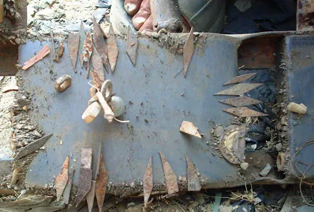 TPHCM tái nở rộ “đinh tặc”