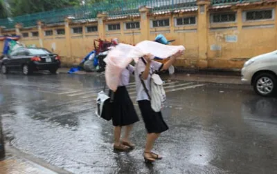 Cơn mưa chiều trái mùa