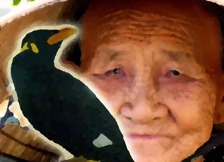 Những giọt nước mắt