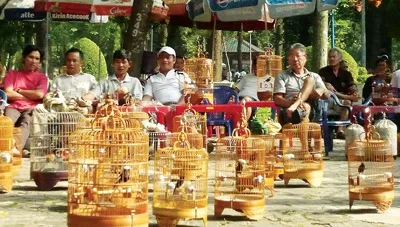 Một góc cà phê chim trong Công viên Tao Đàn (Q1 TPHCM).