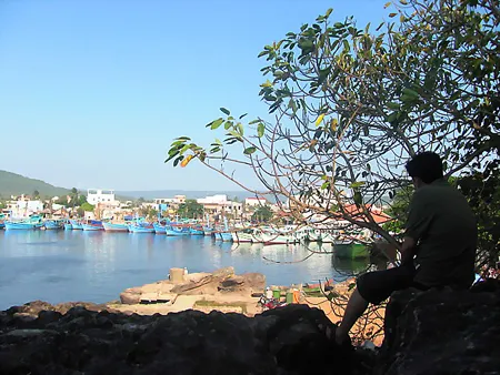 Đảo ngọc thêm xanh ảnh 2