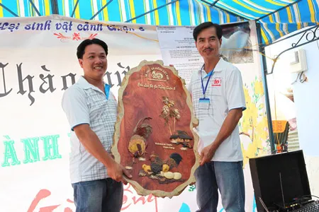 Ra mắt câu lạc bộ gà kiểng quận 6