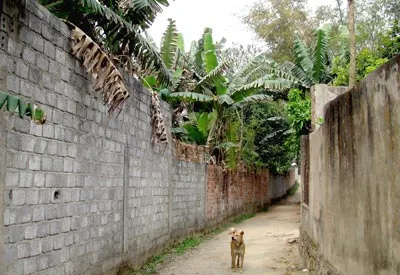 Bi kịch quy hoạch và xóa quy hoạch