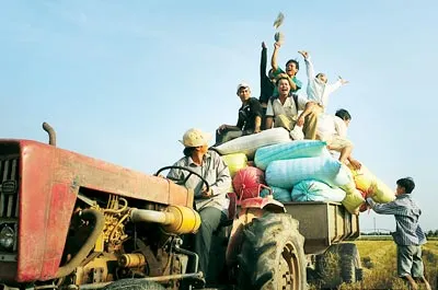 Sức sống mới nông thôn