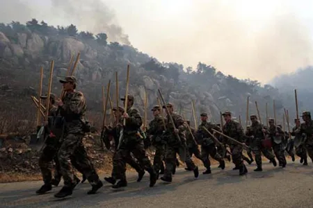 Chính quyền địa phương tiếp tục huy động lực lượng cứu rừng