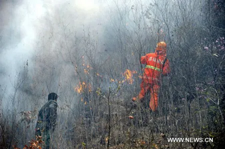 Trung Quốc: Cháy hàng trăm hecta rừng