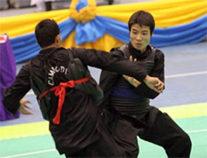 This year, Vietnam Pencak Silat team came home with an overall victory (Photo: english.cinet.vn)