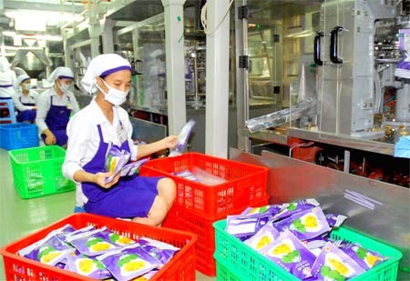 Workers at Vinamit Company make dried jackfruit for export (Photo: SGGP)