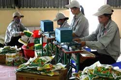 File photo shows that workers of the Minh Duc Chemicals Joint Stock Company work on a fertiliser packaging line.