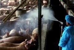 For illustration purposes only. (Photo: AFP)