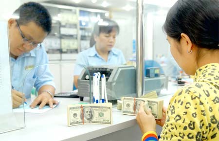 A teller counts US dollar banknotes at an Eximbank branch in Ho Chi Minh City (Photo: SGGP)