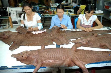 Workers making handicrafts from crocodile skin at a factory in District 12, Ho Chi Minh City (Photo: SGGP).