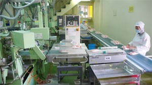 Employees work at a HCMC-based packaging company. Businesses are under heavy pressures from high lending interest rates (Photo:Minh Tri)