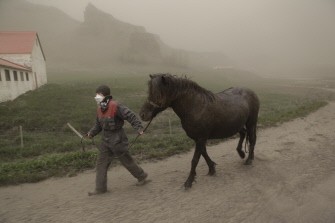 AFP - Anna Hardadottir, a farmer of Horgsland, leads a horse, through the ash pouring out of the erupting Grimsvoetn volcano on May 22, 2011.
