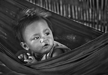 "Waiting for mother" "Looking" "Bathing"