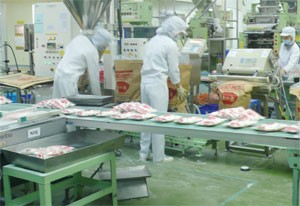 Employees work at a foreign-owned packaging factory. A few of FDI-led enterprises have transfer their technologies to factories in Vietnam (Photo:Minh Tri)