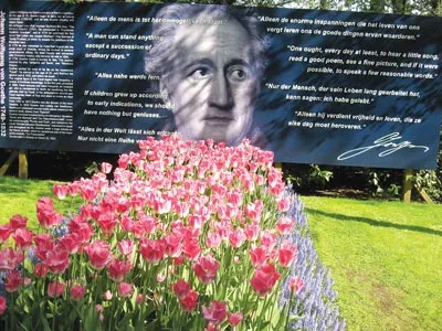 Thư giãn ở Hội hoa Keukenhof