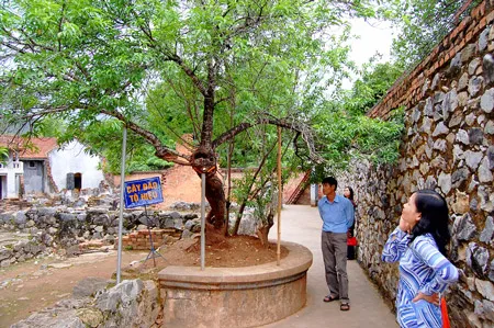 Ấn tượng Tây Bắc