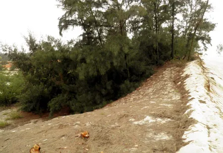 Lũy Trường Sa bên bờ biển Đông