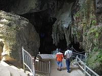 The road to Dong tien cave in Phong Nha – Ke Bang National Park