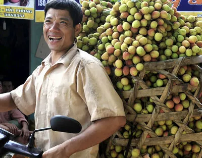 Vải thiều Lục Ngạn đi tìm bạn hàng