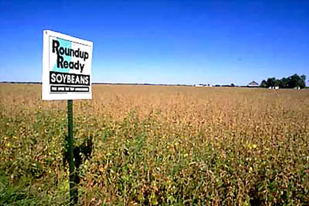 Những sản phẩm độc hại của Monsanto và Dow Chemical