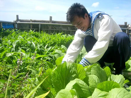 Chăm sóc vườn rau xanh tại đảo chìm Đá Lát