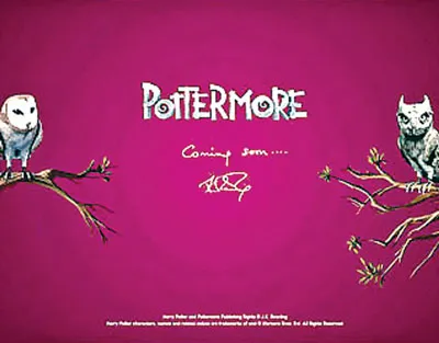 Harry Potter lại gây cơn sốt