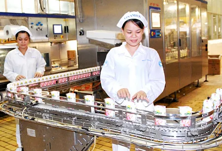 Chương trình chuyển dịch cơ cấu kinh tế TPHCM - Phát triển mối liên kết chặt chẽ các ngành, các tỉnh