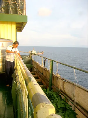 Để Trường Sa không xa ảnh 2