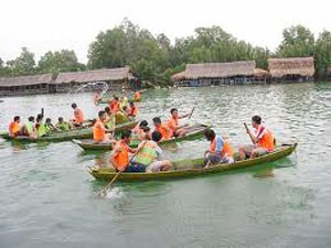 Rowing boat in Cassia Fistula
