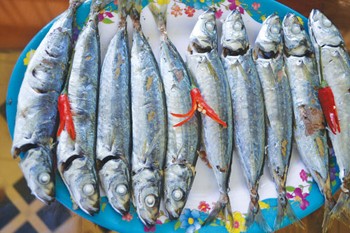 Steamed round scads (Photo: Thanh Nien)