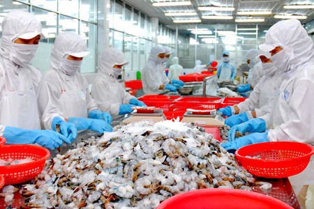 (File) Vietnamese workers at a shrimp-freezing factory in Ho Chi Minh City (Photo: SGGP)