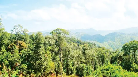 Nâm Nung thương nhớ