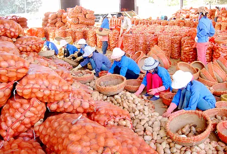 Chặn thực phẩm bẩn vào nội địa