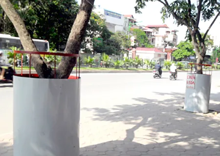 Bọc thép gốc cây chống “sưa tặc”