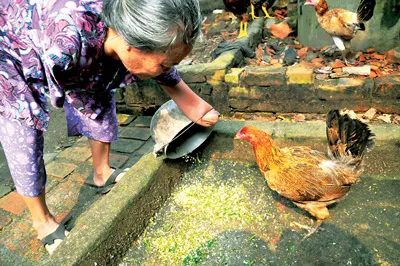 Dù các con đã thành đạt, đỡ đần được cha mẹ, nhưng bà Trần Thị Hồng vẫn tự mình làm việc nhà, giữ nếp của người lao động