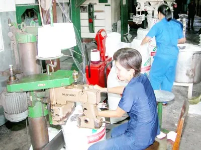 Ngành mía đường - Vượt qua vòng luẩn quẩn?