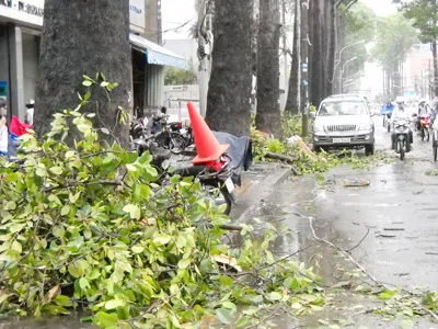 ...và trên đường Nguyễn Thị Minh Khai