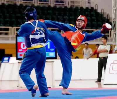 Kết thúc giải vô địch Vovinam thế giới lần 2-2011: Việt Nam vô địch toàn đoàn
