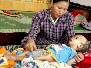 AO/dioxin still affects the third generation in Vietnam (Source: VNA)