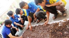 Nearly 150 kg of nails have been collected from HCMC streets until now.