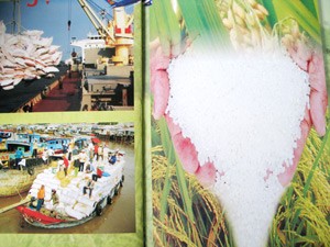 A photo combination presented by the 2011 Vietnam Rice Festival organizers conveys the image of Vietnamese rice as pearl (Photo: Tuong Thuy)